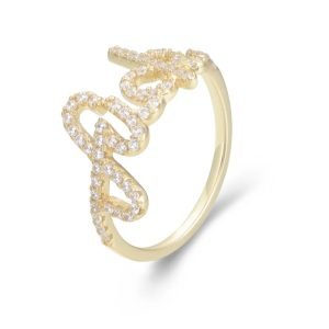 Personality Fashion S925 Sterling Silver Pig Nose Shape Zircon Rings 14K Gold Plated Hollow Eternity Ring for Women Female